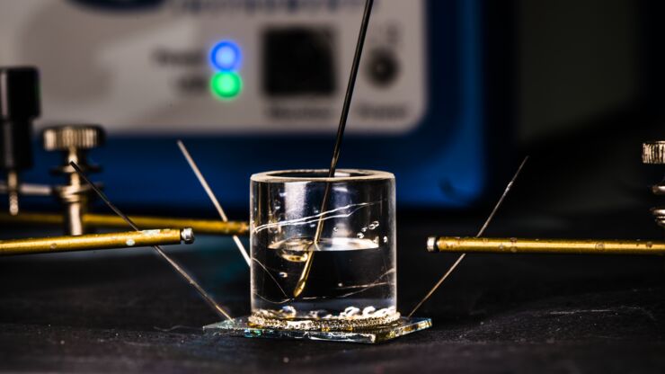The organic electrochemical transistor in which the researchers have been able to deposit Shewanella oneidensis on one of the microelectrodes.