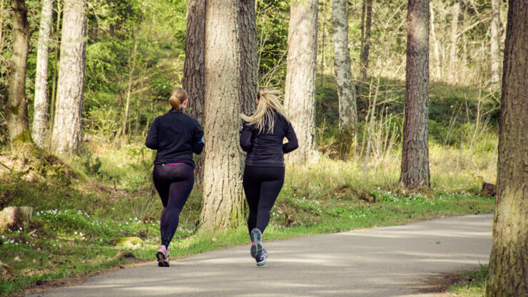 Två löpare på en skogsväg
