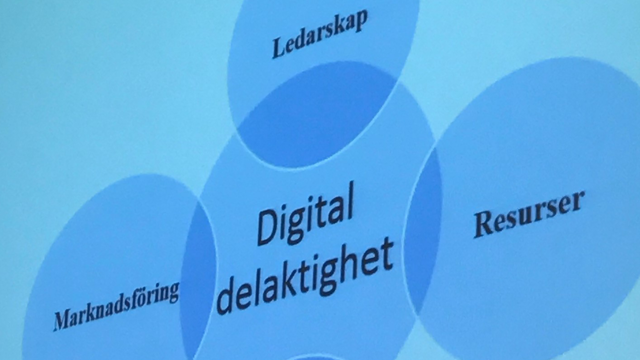 Bild från presentation som visar modell över digital delaktighet