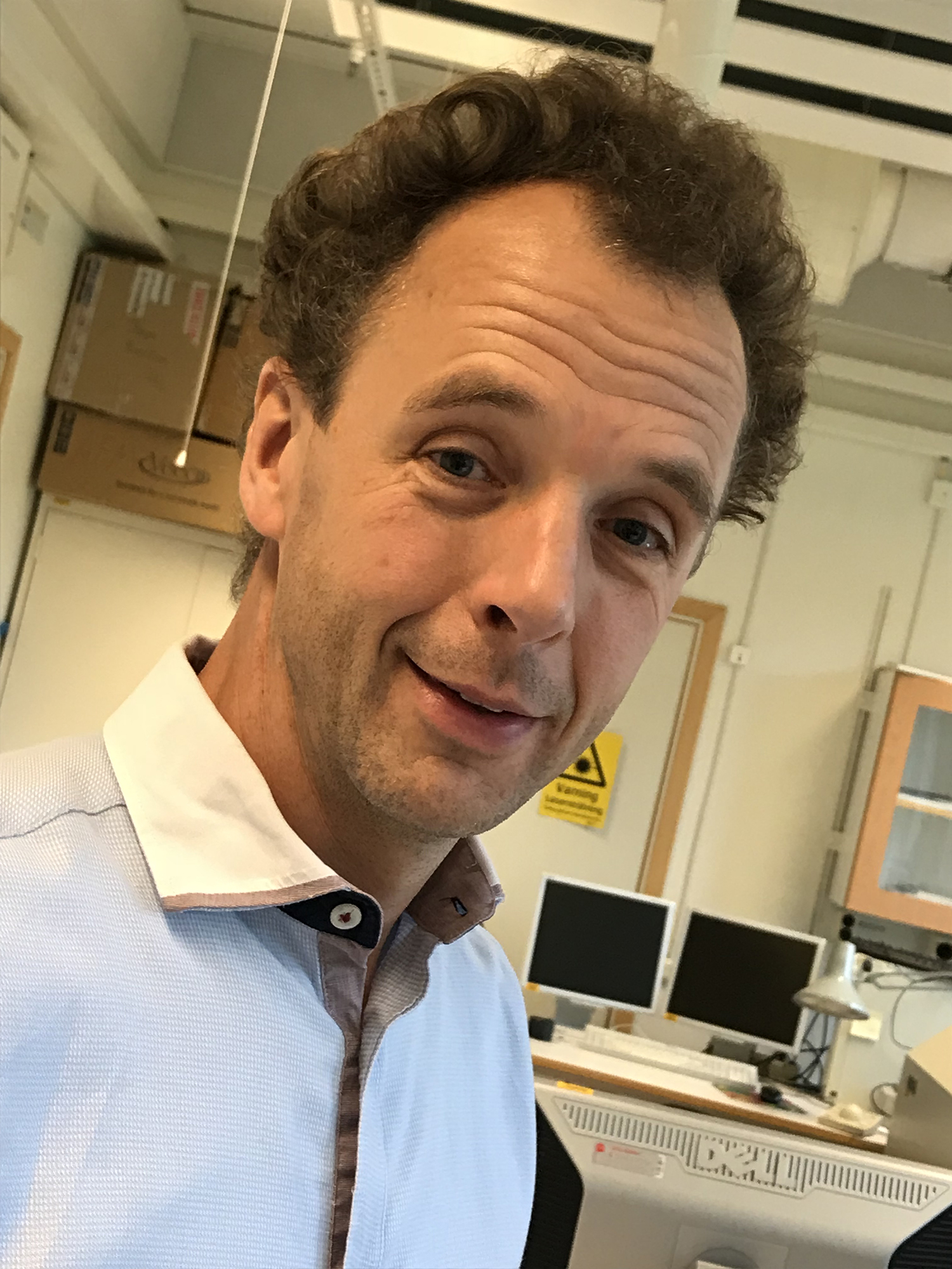 Martijn Kemerink, professor, Komplexa material och system
