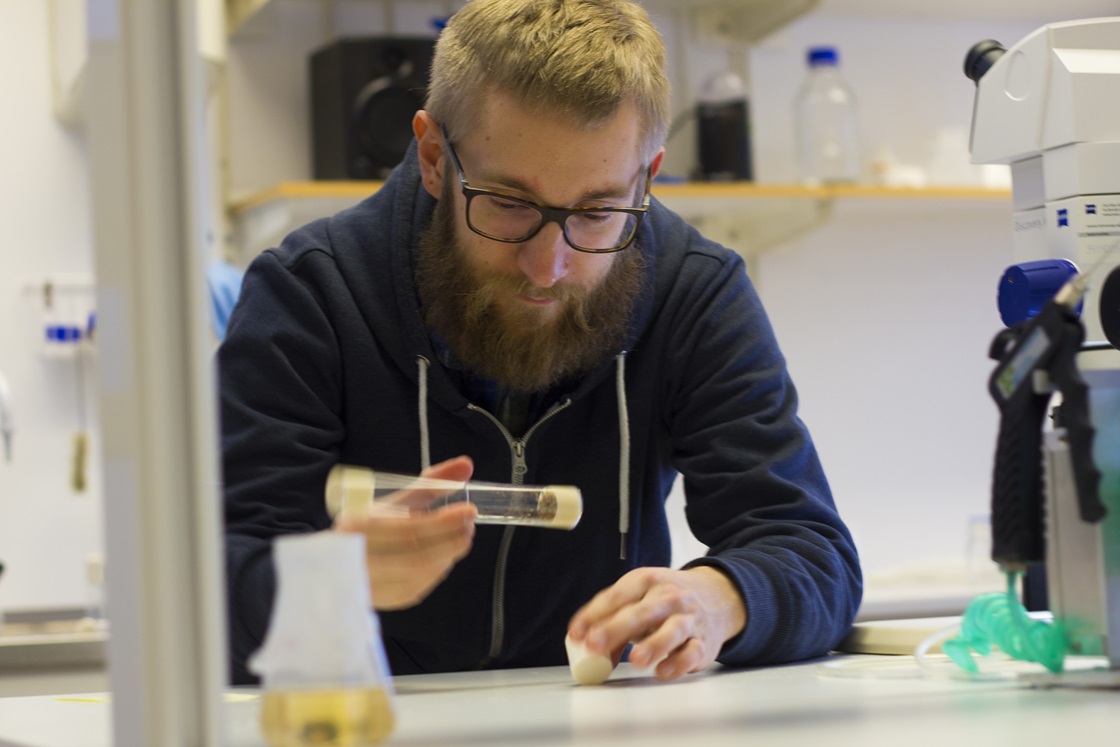 martin brengdahl working at the lab bench