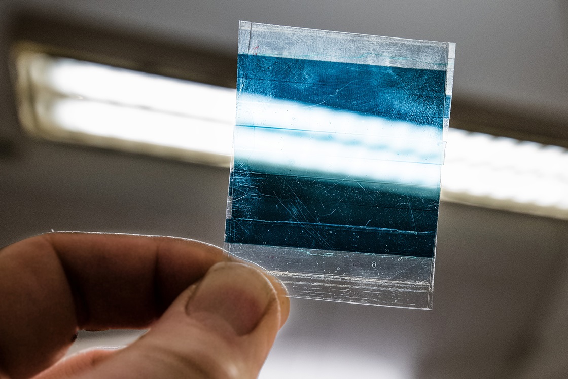 Semitransparent solar cell module