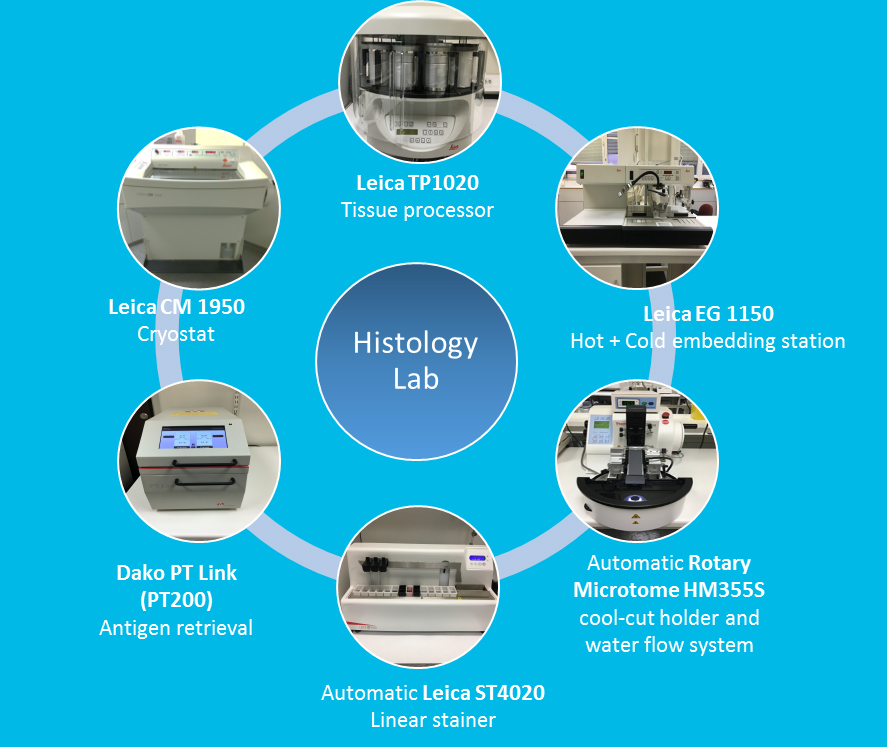 A summary over the equipment that are available at the Histology lab at Core Facility