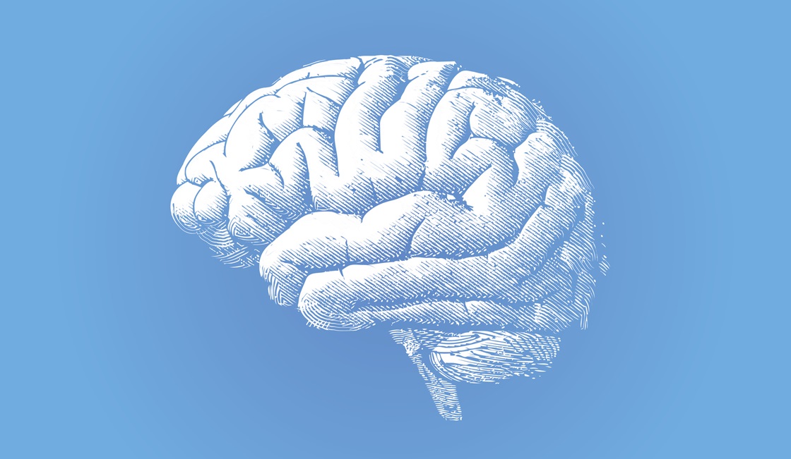 En illustrerad hjärna mot blå bakgrund