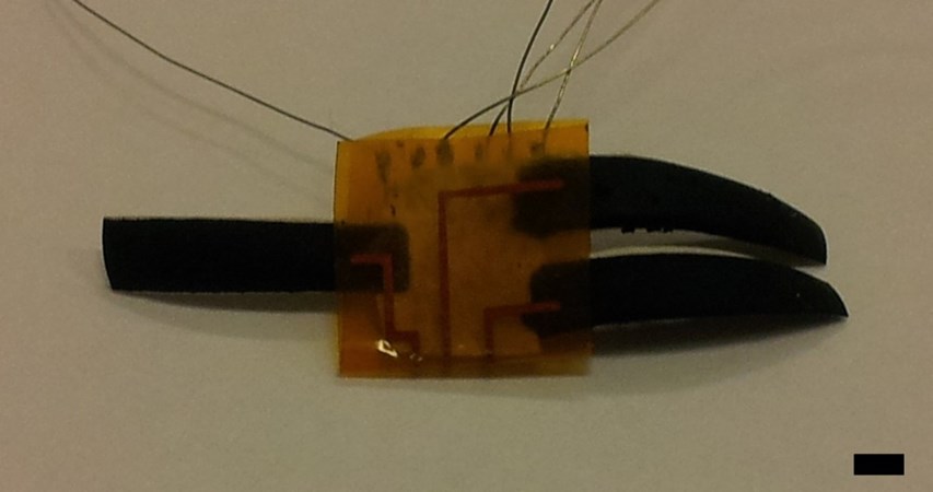 Omslag för publikation 'Patterning and electrical interfacing of individually controllable conducting polymer microactuators'