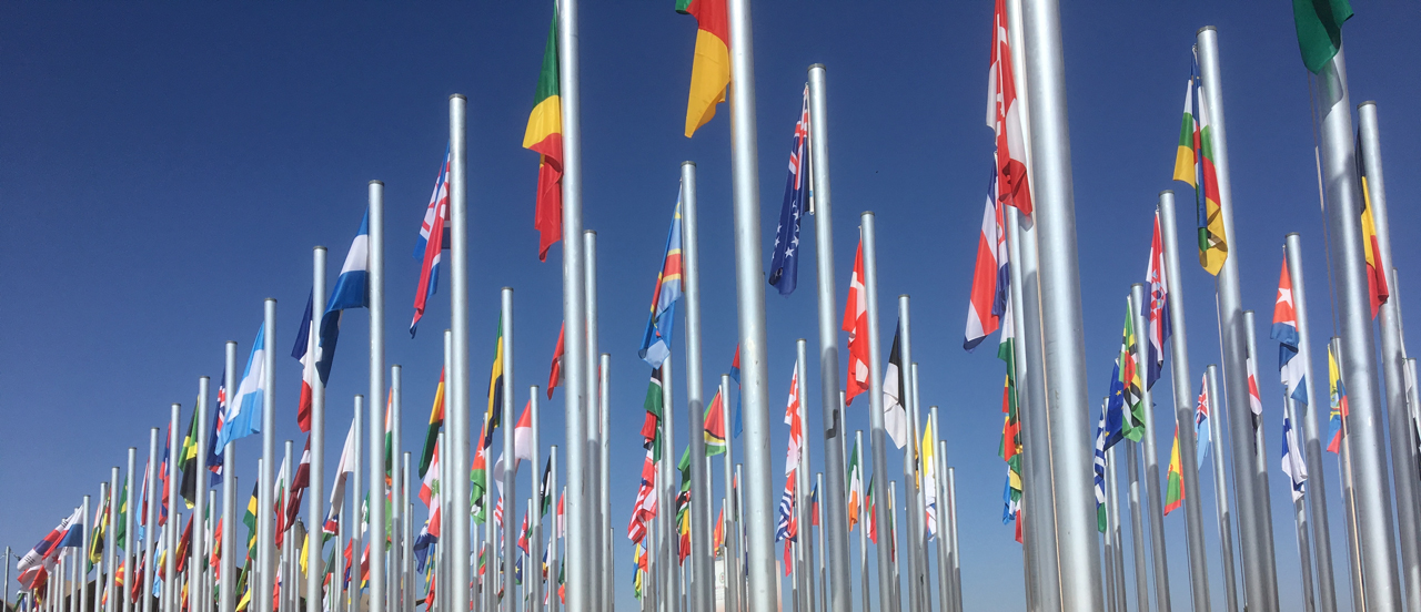 Flaggor i samband med klimatförhandlingar