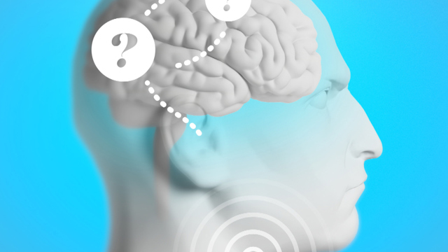 Kognitiv hörselvetenskap hjärna hörsel minne