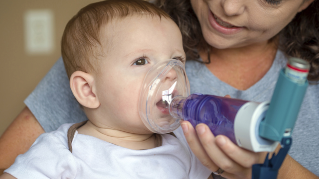 Astma och allergi Foto: istock