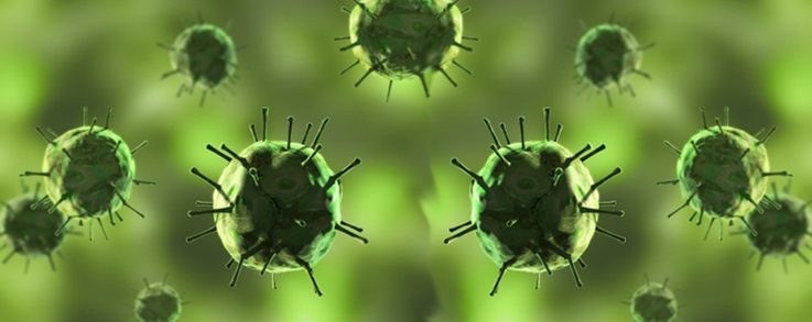 Virus. Foto: Istock