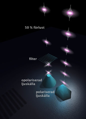 Kvantprickar polariserat ljus
