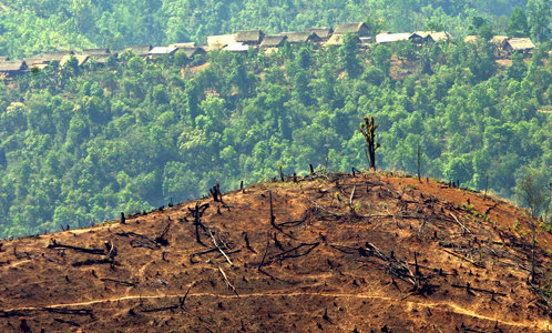 Avskogning i Burma