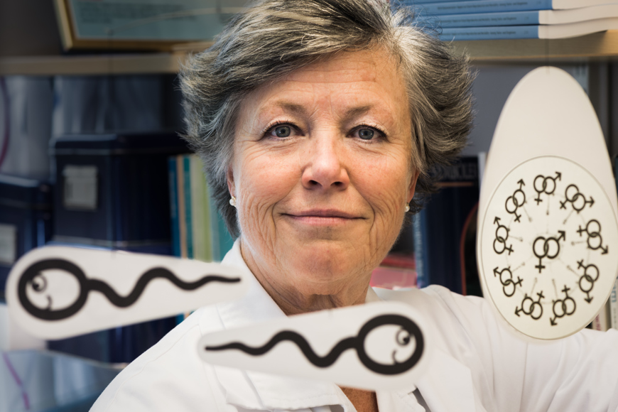 Gunilla Sydsjö, Professor, reproduktionsforskning. Foto: Thor Balkhed 2016