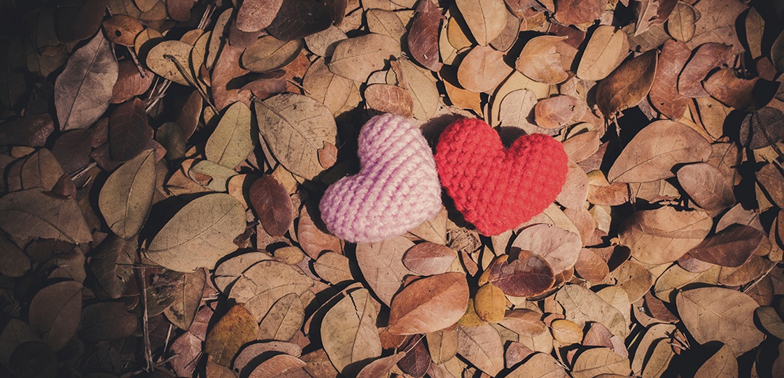 Hjärtan på torra löv / Hearts on dry leaves