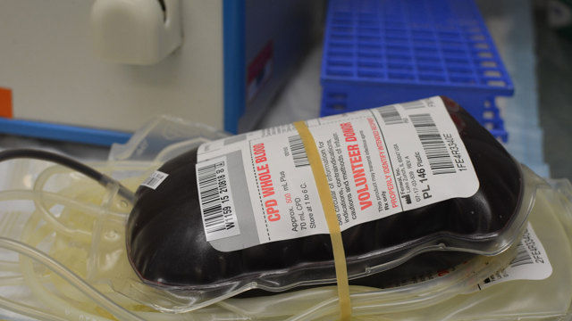Bild på blod i påse vid donation.  Picture of blood for donation