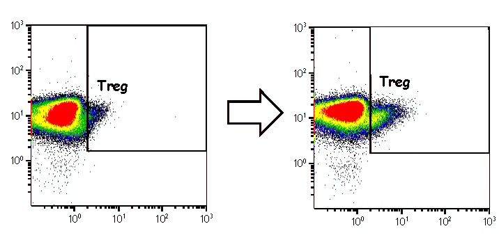Flödescytometri visar celler med olika egenskaper. Efter tillägg av faktorer från placenta ses (bilden till höger) en ökning av regulatoriska T-celler (Treg). 