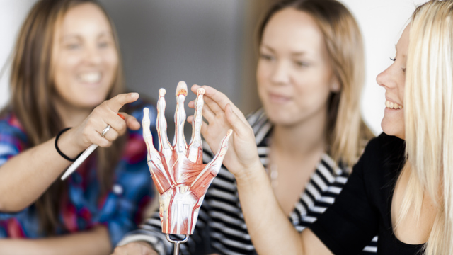 Studenter studerar handens anatomi /  Students study the anatomy of the hand