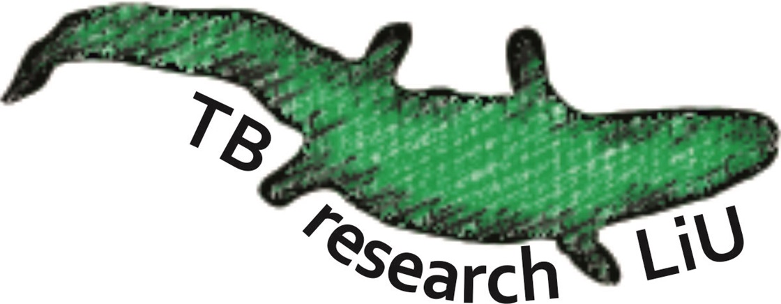 IKE_TB Research LiU