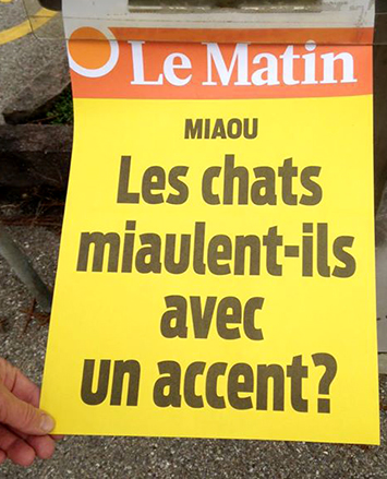 Löpsedel för Le Matin. Foto Meowsic blog.