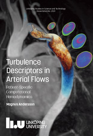 Cover of publication 'Turbulence Descriptors in Arterial Flows: Patient-Specific Computational Hemodynamics'