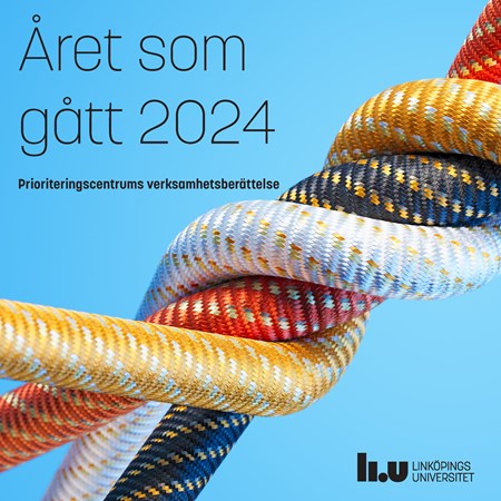 Omslag för publikation 'Året som gått 2024: Prioriteringscentrums verksamhetsberättelse'