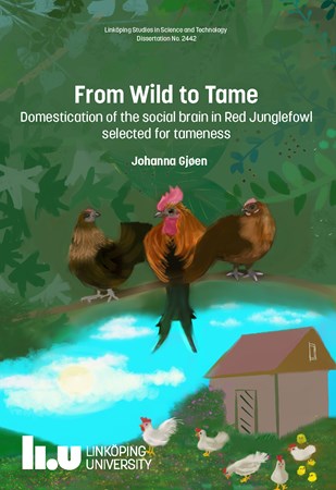 Omslag för publikation 'From Wild to Tame: Domestication of the social brain in Red Junglefowl selected for tameness'
