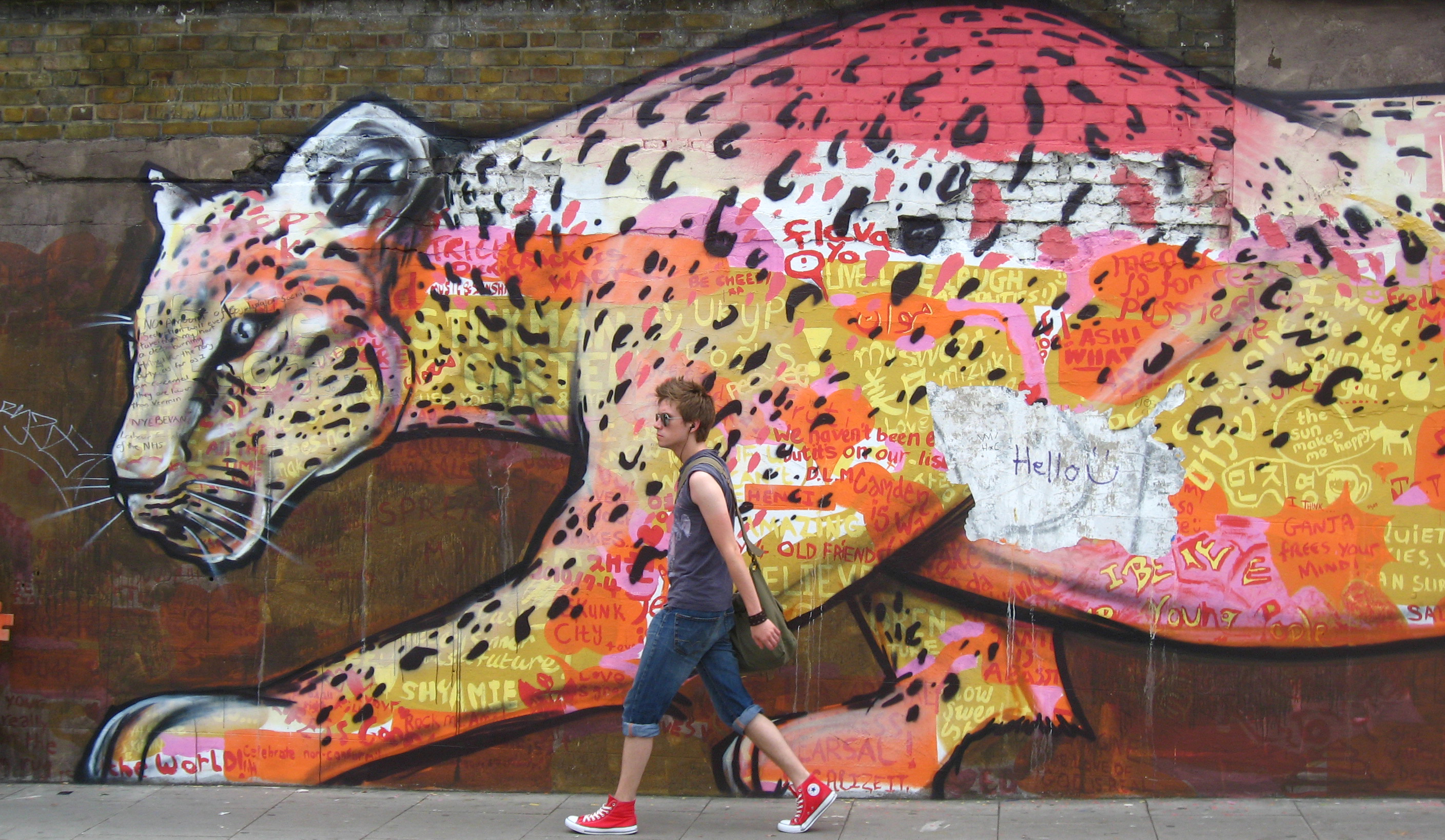 Rainbow leopard graffiti