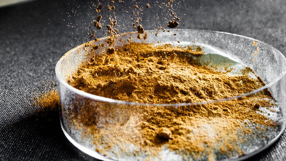 Brown powder poured in petridish.