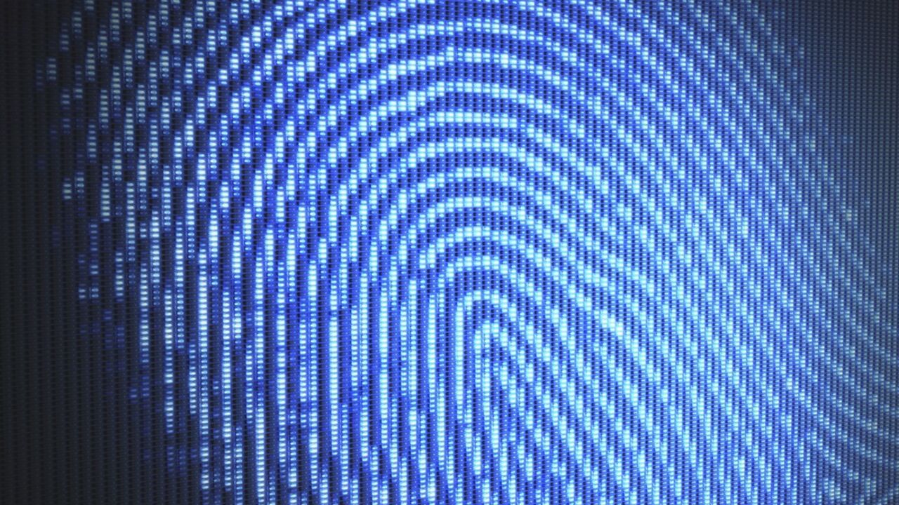 Ett förstorat fingeravtryck i blått