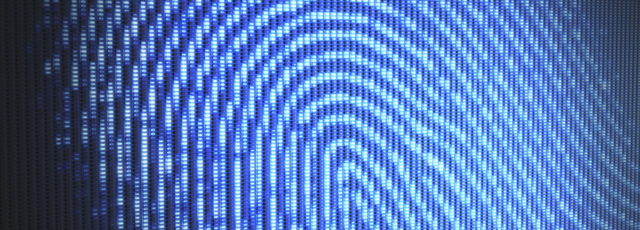 P6: Kropp, Kunskap, Subjektivitet