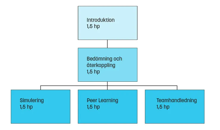 Modell för pedagogisk kompetensutveckling för VFU-handledare inom hälso- och sjukvård