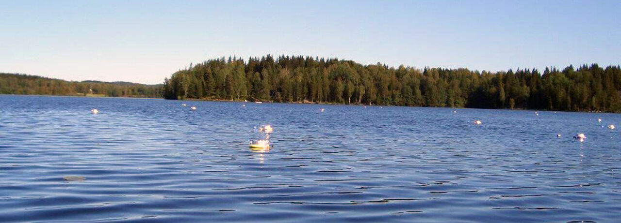 sensors in a lake