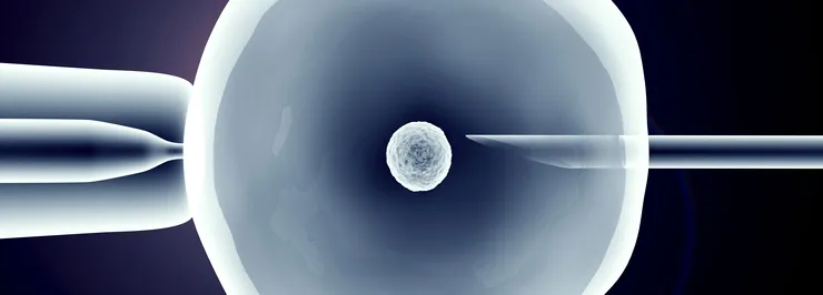 provrörsbefruktning