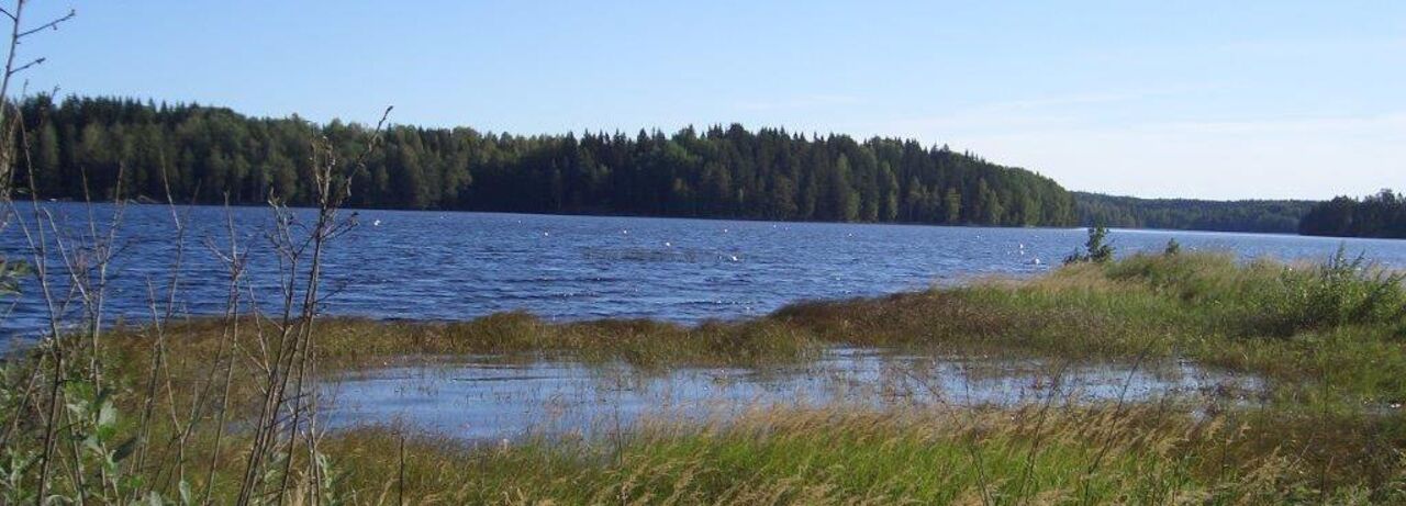 a Swedish lake