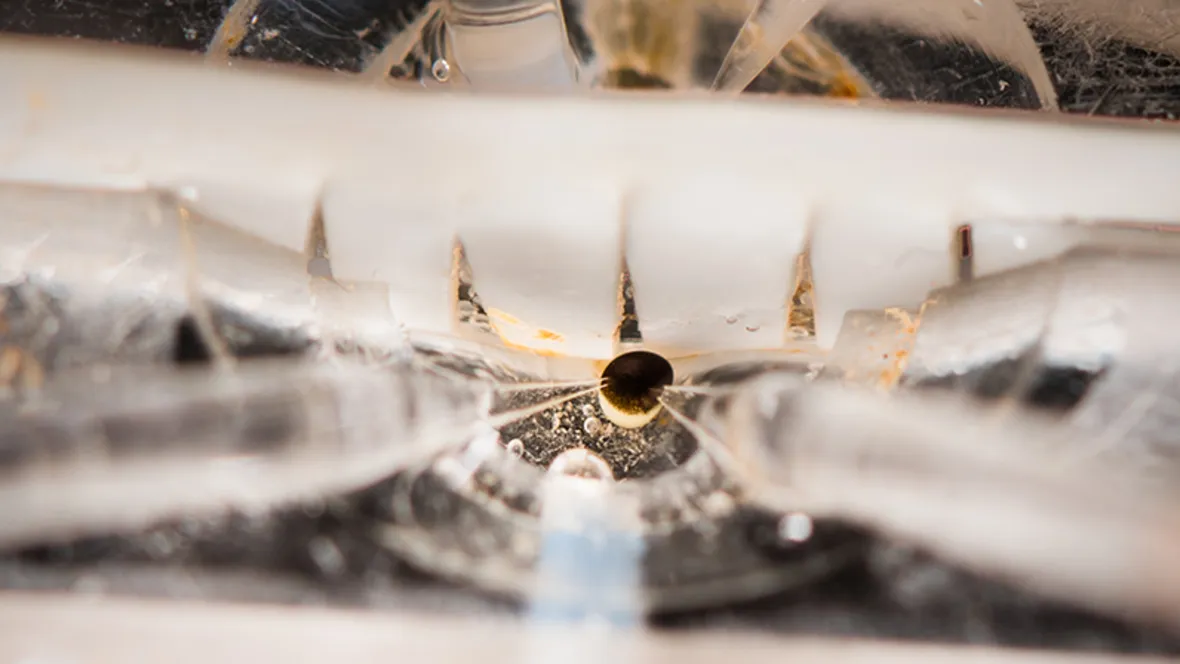 Molekylär jonkanalfysiologi