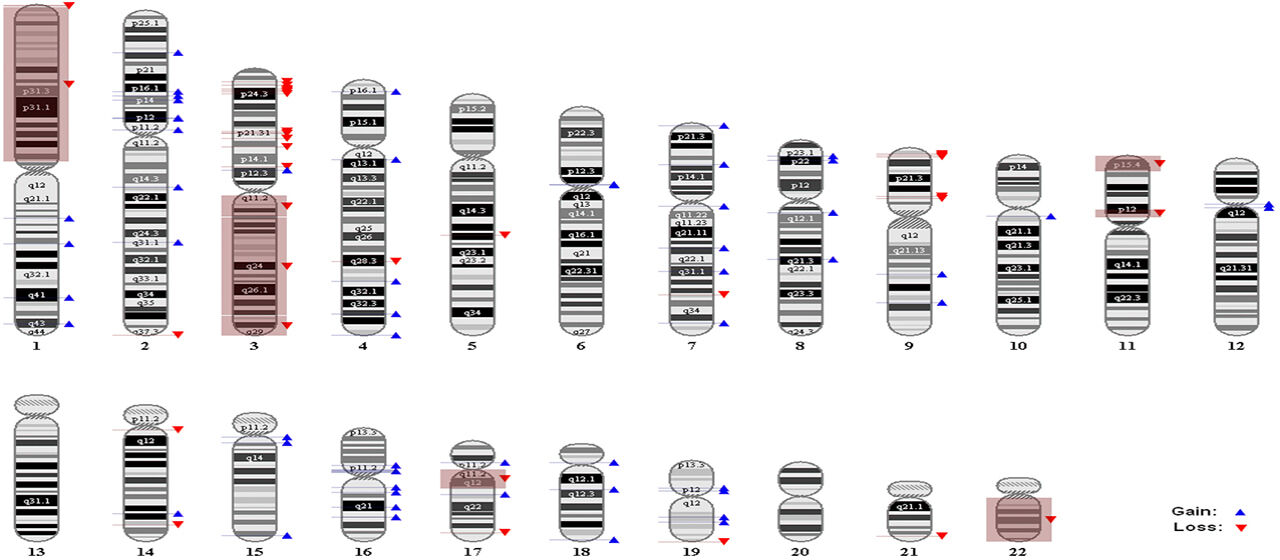 DNA microarray analysis