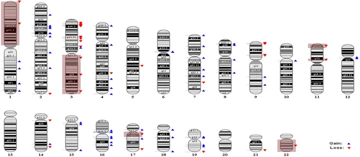 DNA microarray analysis