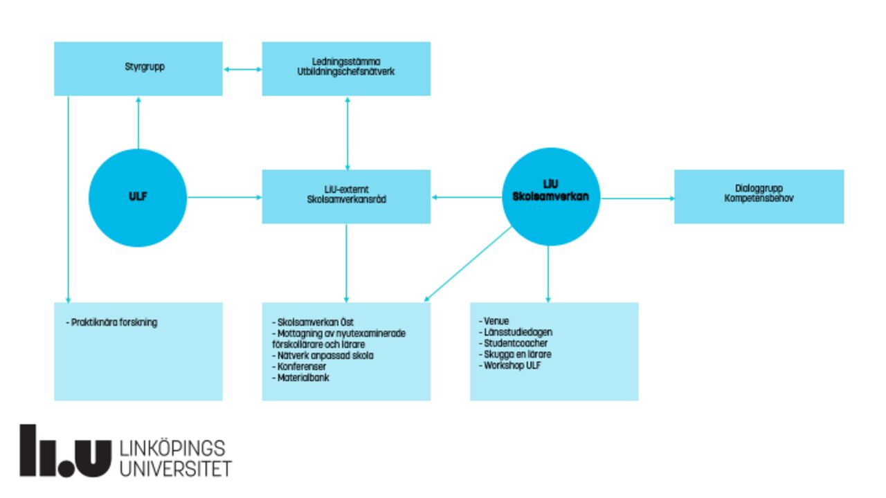 Organisationsskiss som visar LiU Skolsamverkans struktur.
