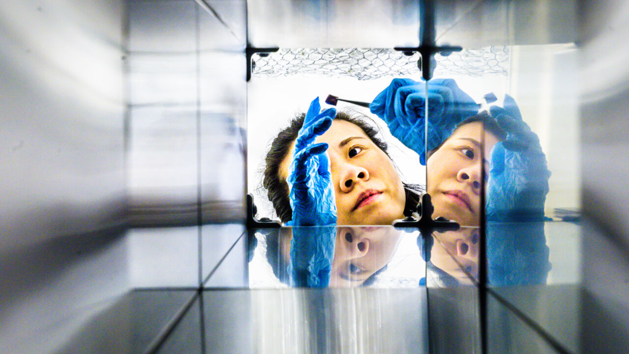 Forskare fotograferad genom aluminiumrör.