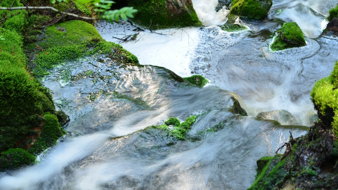 porlande vatten i skogsmiljö