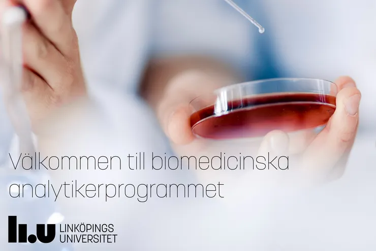 Närbild på en hand som håller i en petriskål