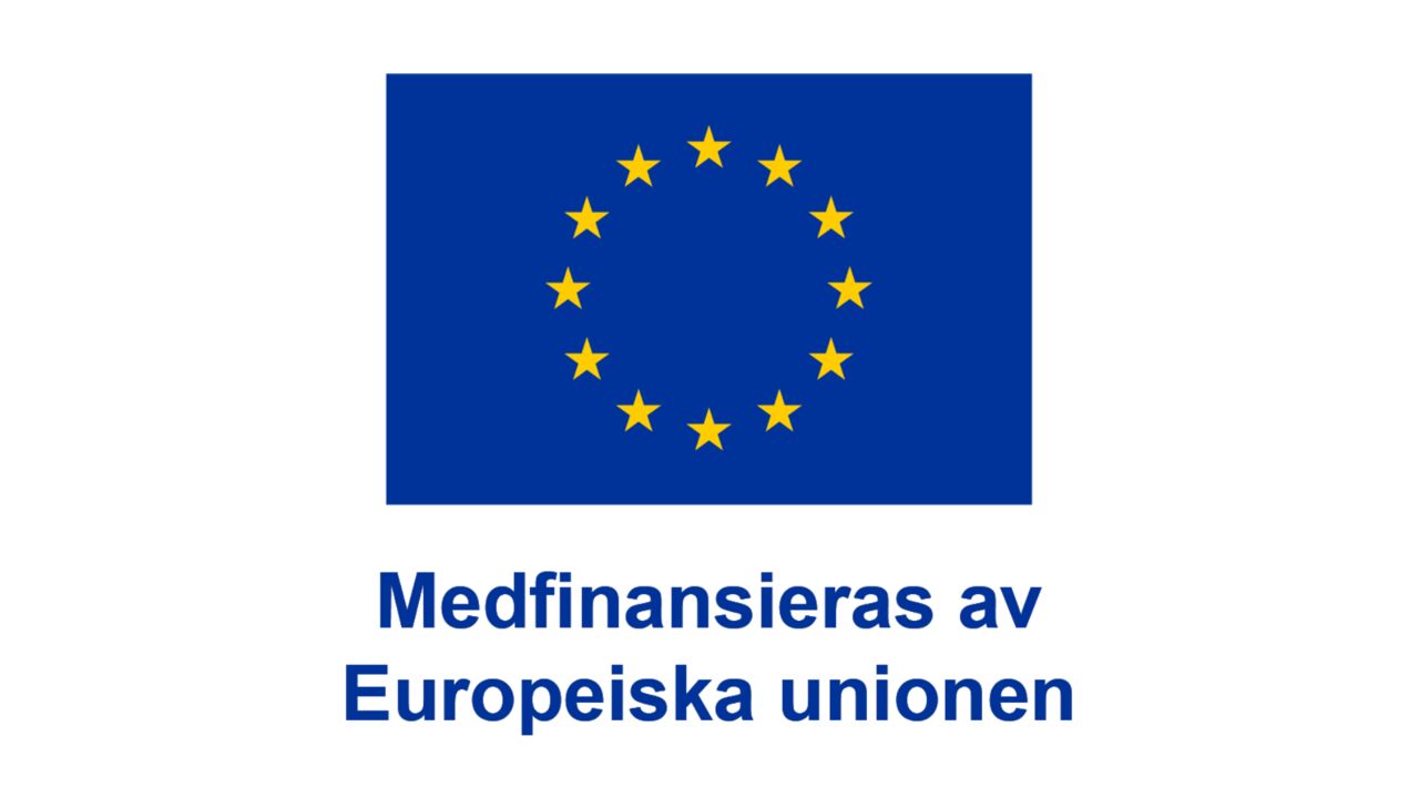 EU logotyp.