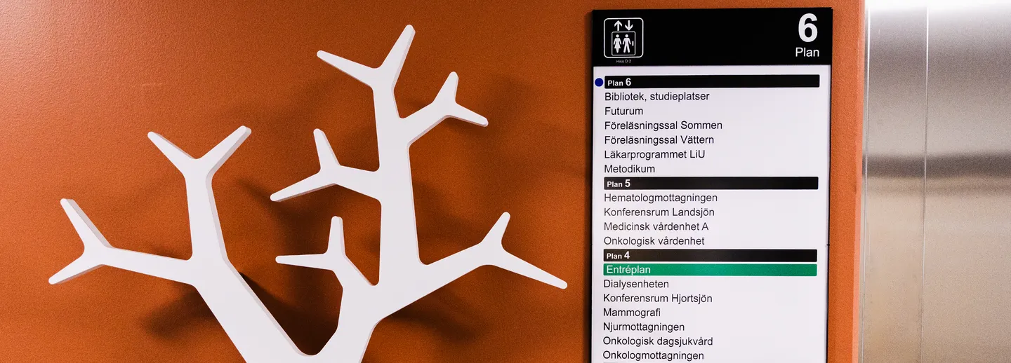 orange vägg med en skulptur av ett vitt träd och en skylt.