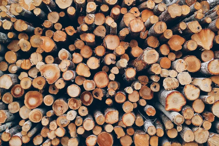 Timber. 