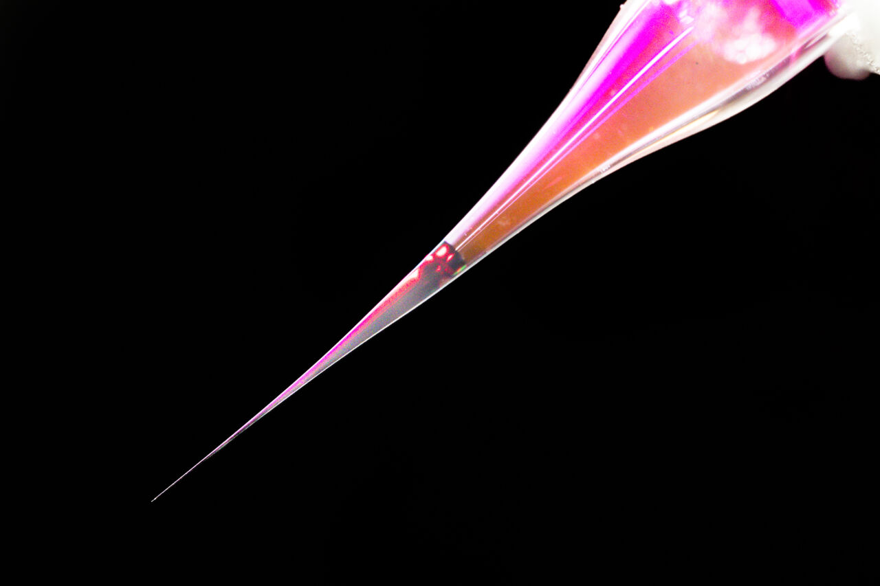 Pipettspets mot svart bakgrund.