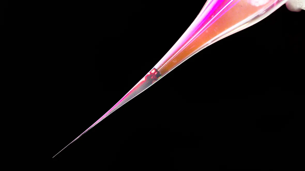 Pipettspets mot svart bakgrund.