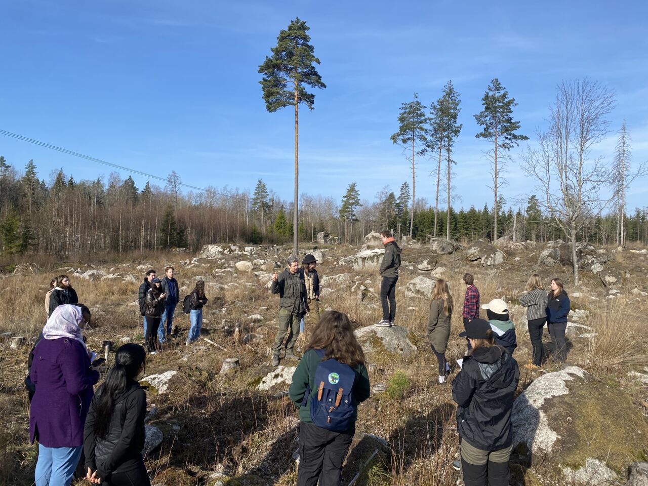Studenter från masterprogrammet Science för Sustainable Development på exkursion i skogen