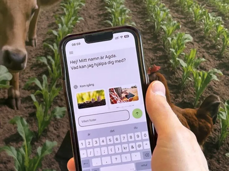 En hand som håller i en mobiltelefon.