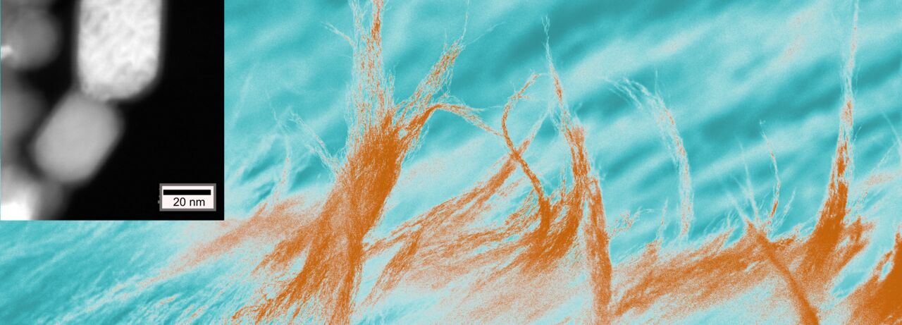 Coloured SEM image of unique truss like structures