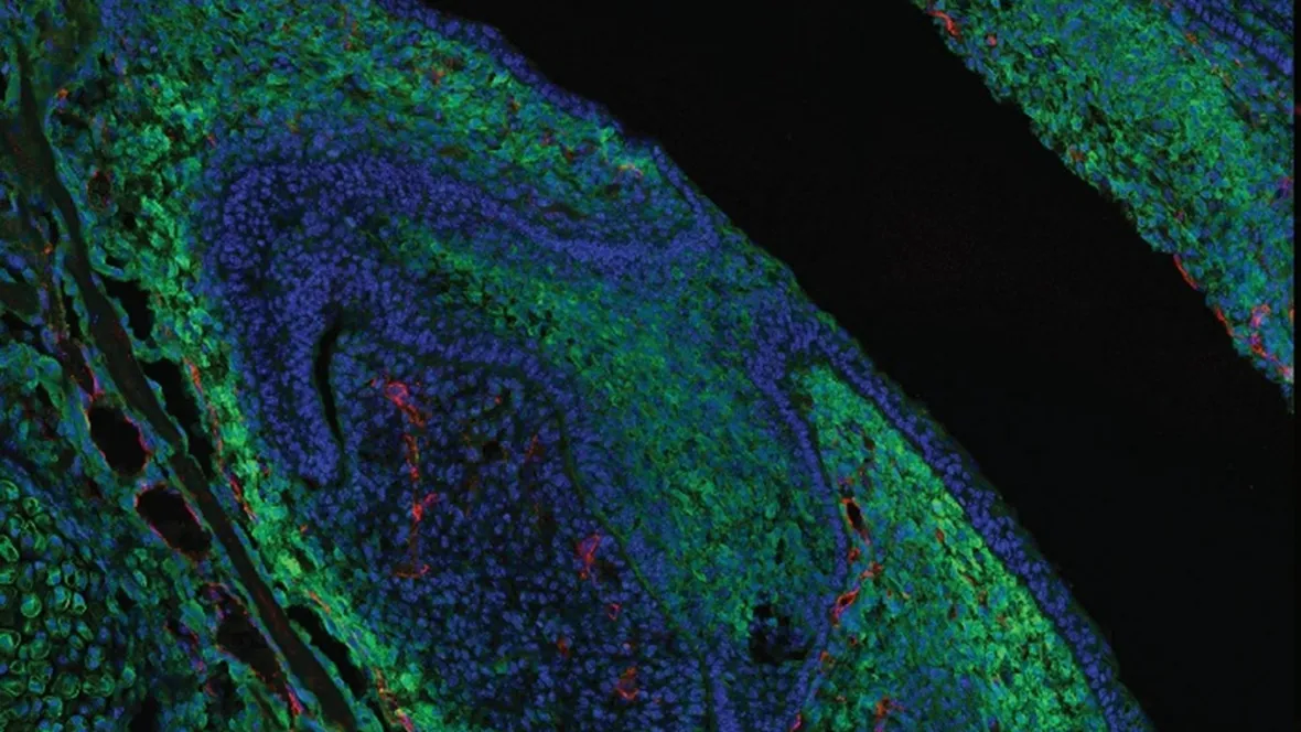 Teaserpic for research group