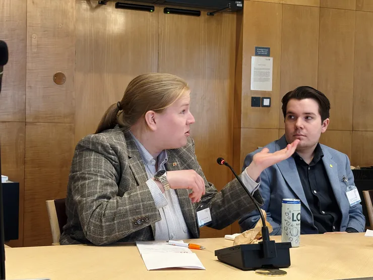 En person pratar i riksdagen.